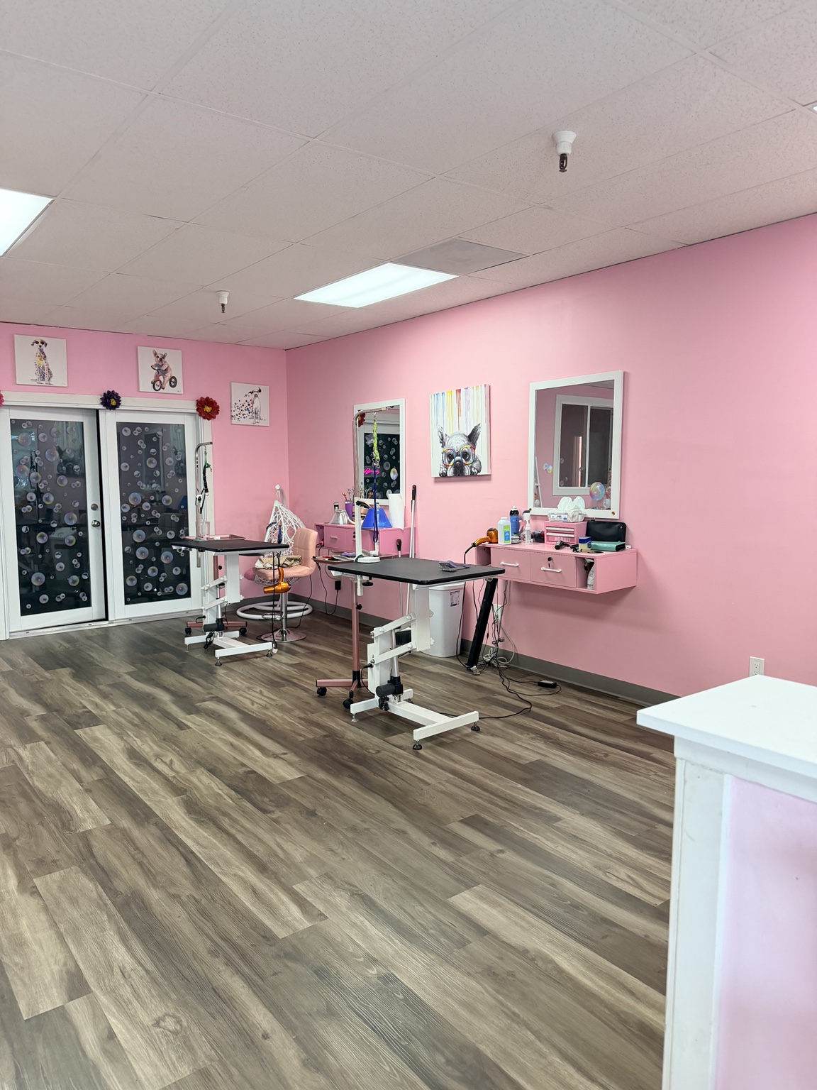 Grooming tables and mirrors inside Ellie’s pink salon
