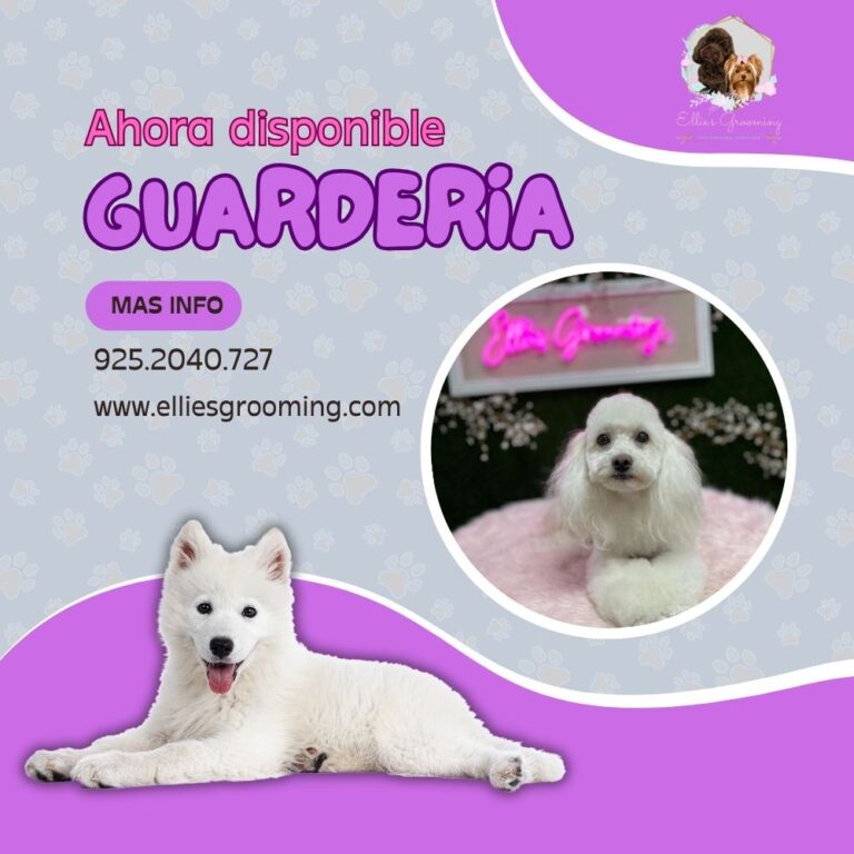 Guarderia